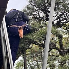 庭師見習い募集の画像