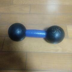 ダンベル鉄アレイ