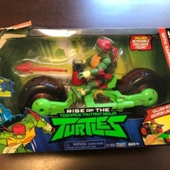 ラファエルとティーンエイジ ミュータント ニンジャ タートル シェル ホッグの画像