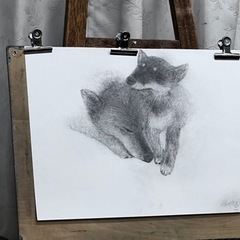 犬友募集です