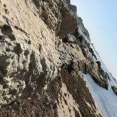 千葉の房総半島の方で海‼︎釣りや泳いだりを楽しみましょう！ - 八王子市