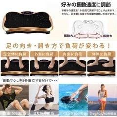 バランスウェーブ　振動マシン　ブラックの画像