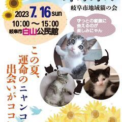 岐阜市地域猫の会   保護猫譲渡会