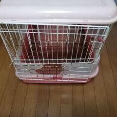 ウサギゲージの画像