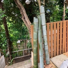 竹