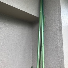 竹竿　5本