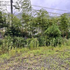 植栽剪定/草刈り/除草剤散布していただける方