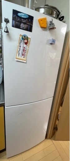 【7/29.30か8/2 10:30引き取り！】♡305L冷蔵庫♡