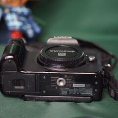 LUMIX　G　　ジャンクなれど撮影可能　（私の愛機でした）の画像