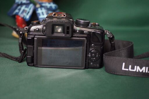 LUMIX　G　　ジャンクなれど撮影可能　（私の愛機でした）