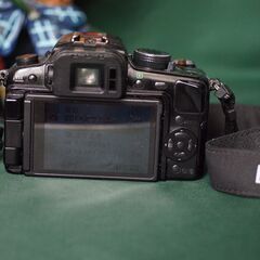 LUMIX　G　　ジャンクなれど撮影可能　（私の愛機でした）