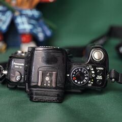 LUMIX　G　　ジャンクなれど撮影可能　（私の愛機でした）の画像