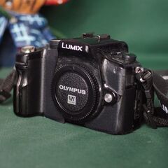 LUMIX　G　　ジャンクなれど撮影可能　（私の愛機でした）の画像