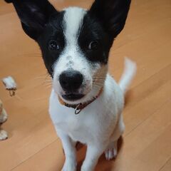 ６ヶ月 可愛いニコちゃん