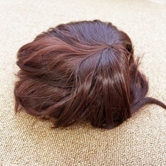 カツラの画像