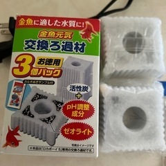 GEX ロカボーイS 交換ろ過材×2個　G-AIR1000SB×2個の画像
