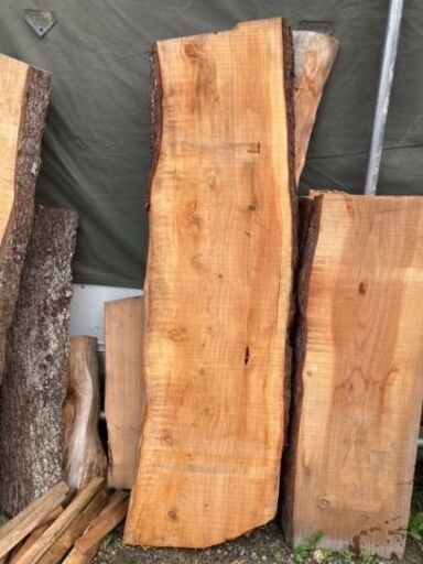 米松の 一枚板. Natural wood counter-tops / table-tops