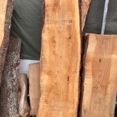 米松の 一枚板. Natural wood counter-tops / table-topsの画像
