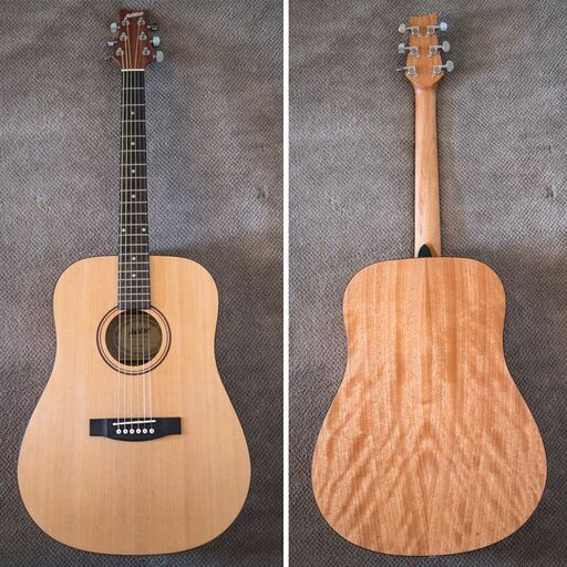 Ashton D20 極美品