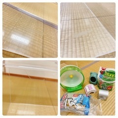 アクリル 飼育ケース 取引中の画像
