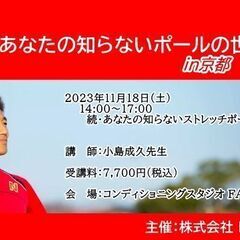 続・あなたの知らないポールの世界 〜パッケージにないストレッチポ...