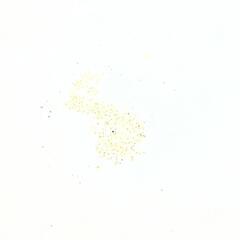 めだか　メダカ　紅帝楊貴妃　有精卵の画像