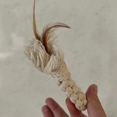 ★猫用玩具おまとめGiGwi（ギグウィ）Petio エビ　さんま蹴りぐるみの画像