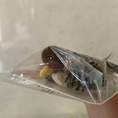 ★猫用玩具おまとめGiGwi（ギグウィ）Petio エビ　さんま蹴りぐるみの画像