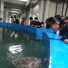 学習だけではなく「非認知能力」も伸ばしますの画像