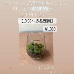【交流会】映え♪【削りイチゴ】【こけ講座】【ワークショップ】親子マルシェ交流会 − 福岡県