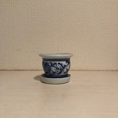 決まりました！小さな植木鉢の画像