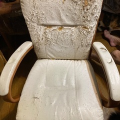 ダイニングチェア　イス　4脚　無料の画像