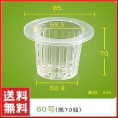 水耕栽培用ポット 60号（直径8.5cm） 透明  100個セット
