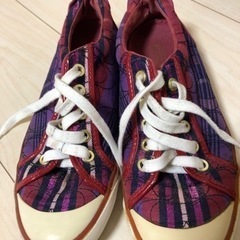 【募集一旦停止】コーチ ショルダーバッグ ハンドバッグ 靴 財布 ウォレット COACH 5点 セット ブランド 百貨店 本物 転売 せどり メルカリ フリマ 3の画像