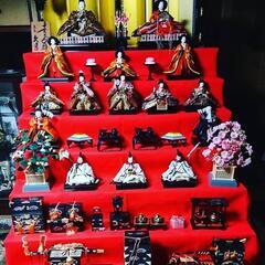 雛人形 7段