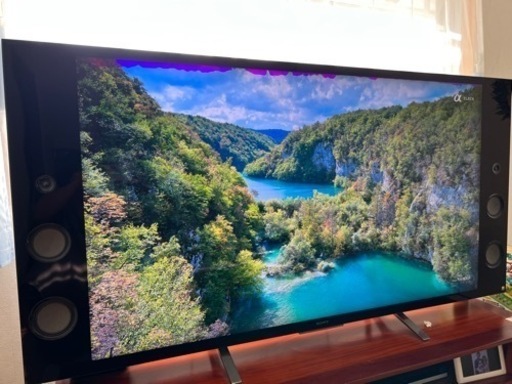 SONY BRAVIA 55型　