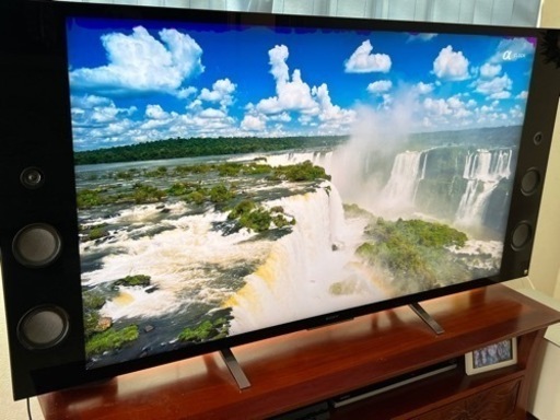 SONY BRAVIA 55型