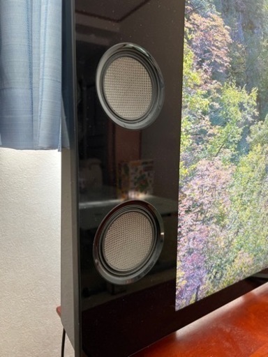 SONY BRAVIA 55型　