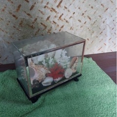 昭和レトロ下田のお土産　貝と珊瑚