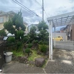 植木や庭石を無料でお譲りします！の画像
