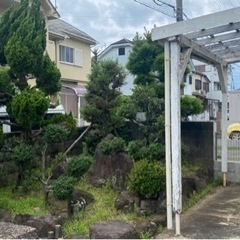 植木や庭石を無料でお譲りします！の画像