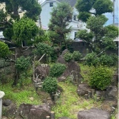 植木や庭石を無料でお譲りします！