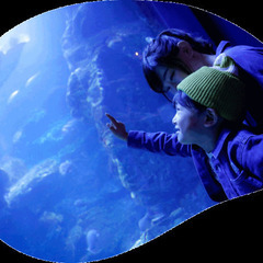 平日に🐠京都水族館行きませんか？ - 京都市