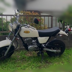 エイプ　50 宮城県