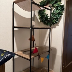 キャットタワーの画像