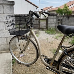 3回歯科使ってないです。