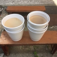 1 即日お渡し希望です。陶器、プラスチックの園芸用の鉢50個ほどです。の画像