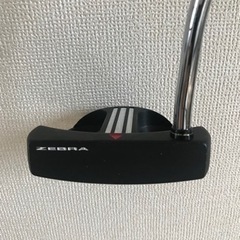 【決まりました】ZEBRA CAMBER SOLE パターの画像