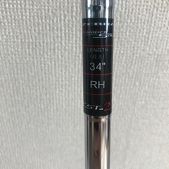 【決まりました】ZEBRA CAMBER SOLE パターの画像