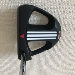 【決まりました】ZEBRA CAMBER SOLE パターの画像